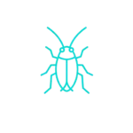 cucaracha