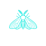 polilla